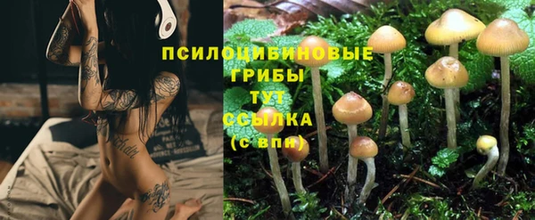 соль курить ск Алзамай