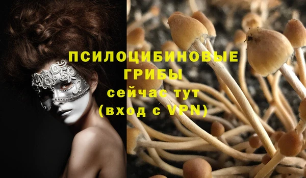 экстази Алексеевка